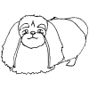 Pekingese Outline