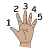 Five+fingers Picture