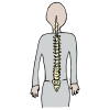 Spine Picture