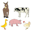 Where+do+cows_+pigs_+and+chickens+live_ Picture