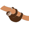 sloth Picture