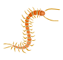 Centipede Stencil