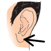 ear Picture