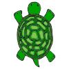 Tortue Picture