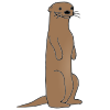 Splash+like+an+otter Picture