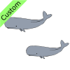 whales Picture