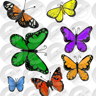 7 butterflies Picture