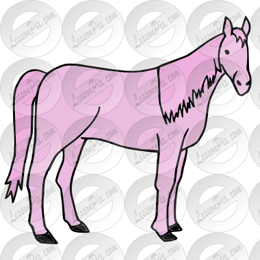 Pink Horse Picture