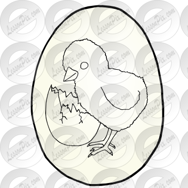 chick in egg Picture