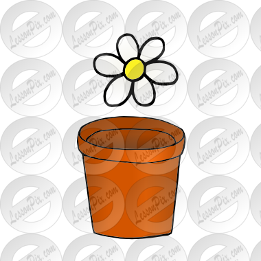 flower over pot Picture