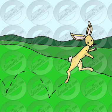 The rabbit is hopping. Picture