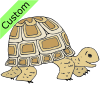Tortoise Picture