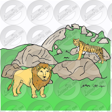 lion and tiger Picture