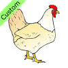 chicken Picture