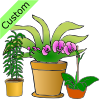 Plants Picture