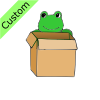 Frog+in+Box Picture