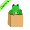 Frog+on+Box Picture